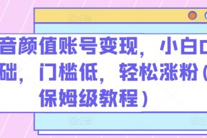 抖音颜值账号变现，小白0基础，门槛低，轻松涨粉(保姆级教程)【揭秘】