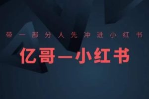 带一部分人先冲进小红书，小红书开店、选品、爆款裂变