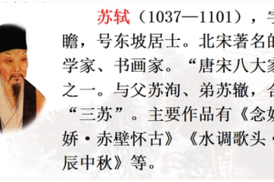 关于苏轼的人物传记，关于苏轼的人物传记有哪些？