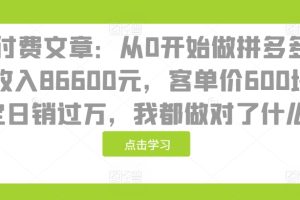 某付费文章：从0开始做拼多多18天收入86600元，客单价600块稳定日销过万，我都做对了什么?