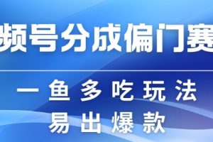 视频号创作者分成计划偏门类目，容易爆流，实拍内容简单易做【揭秘】