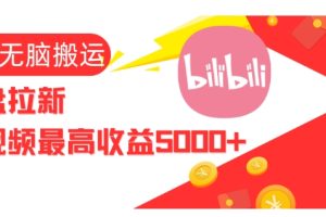视频无脑搬运b站网盘拉新，单视频最高收益5k+【揭秘】
