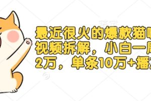 最近很火的爆款猫咪做饭视频拆解，小白一周涨粉2万，单条10万+播放(附保姆级教程)