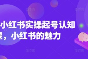 2025小红书实操起号认知课，小红书的魅力