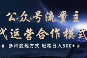 公众号流量主代运营  多种变现方式 轻松日入5张【揭秘】