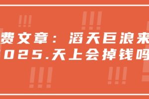 付费文章：滔天巨浪来袭！2025天上会掉钱吗？