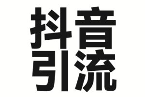 2025年抖音最新暴力引流法，只需一个视频加一段文字，简单操作，单日引300+创业粉