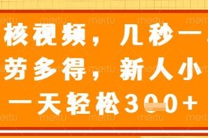 审核视频，几秒一单，多劳多得，新人小白一天轻松3张【揭秘】