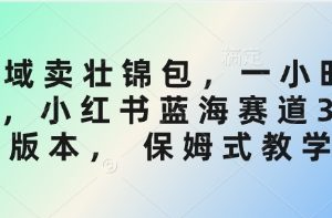 私域卖壮锦包，一小时3张，小红书蓝海赛道3.0版本， 保姆式教学