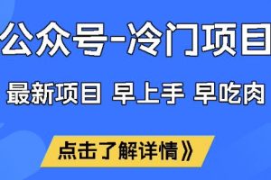 公众号冷门赛道，早上手早吃肉，单月轻松稳定变现1W【揭秘】