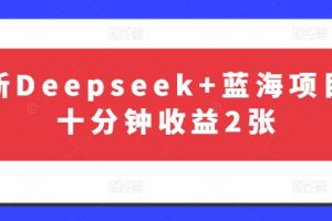 最新Deepseek+蓝海项目，十分钟收益2张