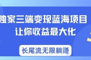 独家三端变现蓝海项目，让你收益最大化，长尾流无限躺挣