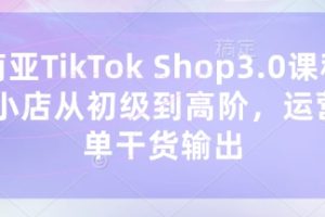 东南亚TikTok Shop3.0课程，TK小店从初级到高阶，运营出单干货输出
