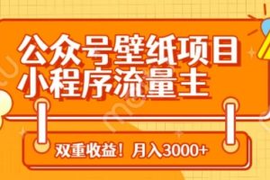 公众号壁纸项目，小程序流量主双收益，月入3000+
