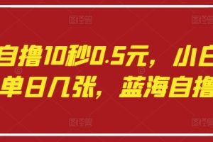 语聊自撸10秒0.5元，小白轻松上手单日几张，蓝海自撸项目