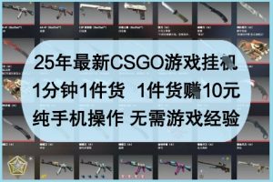 25年最新CSGO游戏挂G，1分钟1件货，1件货挣10元，纯手机操作，无需游戏经验【揭秘】