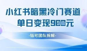 小红书冷门”暗黑”赛道，单日收益多张