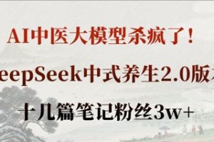 AI中医大模型杀疯了！DeepSeek中式养生2.0版本，十几篇笔记粉丝3w+