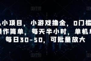 手机小项目，小游戏撸金，0门槛0投入操作简单，每天半小时，单机单号每日30-50，可批量放大