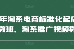2025年淘系电商标准化起店流程私教班，淘系推广视频教程