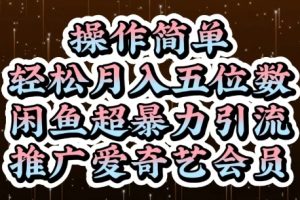 闲鱼超暴力引流推广爱奇艺会员，操作简单，轻松月入5位数