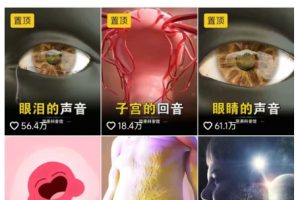 抖音坚果3D动画科普项目，撸视频号分成和抖音伙伴计划，适合零基础小白