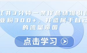 小红书3分钟一条作品精准引流创业粉300+，打造属于自己的流量帝国