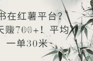 抄书在小红薯平台？平均一单30米，一天收益几张！