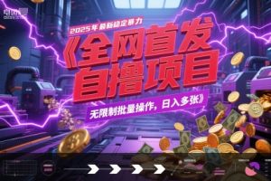 全网首发，2025年最新稳定暴力全自动自撸项目，无限制批量操作，日入多张【揭秘】