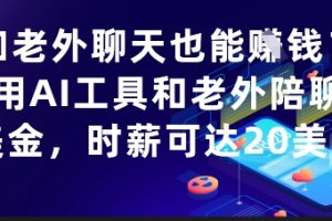和老外聊天也能挣钱？利用AI工具和老外陪聊挣美金，时薪可达20刀