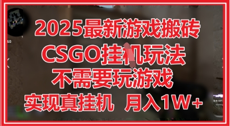 2025最新游戏搬砖，CSGO挂G，不需要玩游戏，实现真挂G，月入1W+【揭秘】