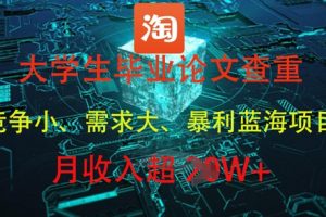 大学生毕业论文查重，暴利蓝海项目，月收入过1W+