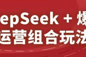 DeepSeek+爆品运营组合玩法，2025淘系精品课