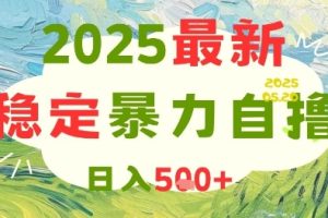 2025最新暴力自撸项目，日入5张+，可矩阵操作【揭秘】