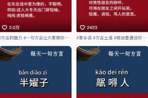 抖音最新涨粉玩法，图文方言暴力涨粉实操，126作品涨粉11W