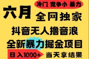 25年6月高爆抖音无人直播最新撸音浪掘金项目，小白可做，无脑日入1k+，门槛低可批量矩阵【揭秘】