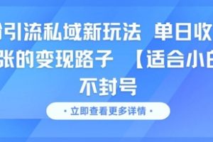 男粉引流私域新玩法，单日收益达10张的变现路子 【适合小白】不封号