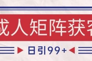 小红书某音橙人赛道引流获客，自热矩阵日引200+【揭秘】