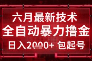 六月最新技术全自动暴力撸金，稳定日入2k+包起号，长期稳定【揭秘】