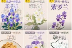 AI心理学教程，从零基础教学直到变现，创作者伙伴计划收益