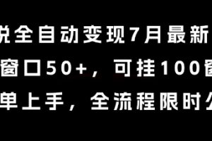 小说全自动变现7月玩法，单窗口50+，可挂100窗口，简单上手，全流程限时公布【揭秘】