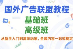 国外广告联盟教程，基础班和高级班，从新手入门到高阶玩家，全套内容一站式搞定