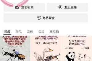 Puff手绘视频号分成项目，三天过分成计划，简单易上手，适合新手