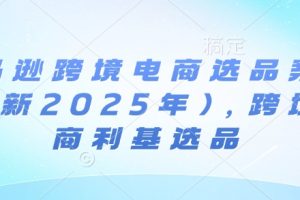 亚马逊跨境电商选品案例(更新2025年7月)，跨境电商利基选品