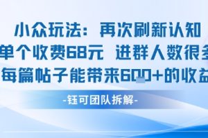 小众玩法再次刷新认知单个收费68米进群人数很多每篇帖子能带来6张的收益