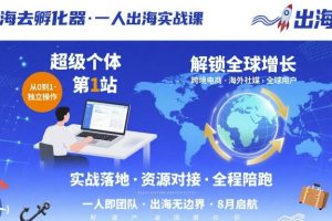 出海去孵化器，一人出海实战课，超级个体第1站，解锁全球增长