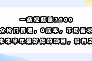 一条视频挣1k，小众冷门赛道，0成本，市场需求大，是未来半年最好做的项目，没有之一