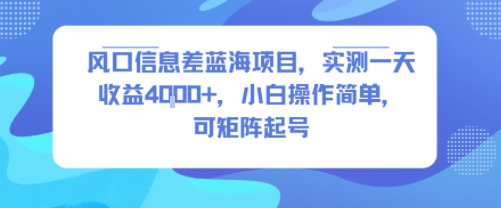 风口信息差蓝海项目，实测一天收益4k+，小白操作简单，可矩阵起号