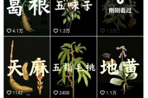 抖音中草药赛道，用AI做中草药故事视频，45条作品涨粉13W，橱窗带货猛猛出单
