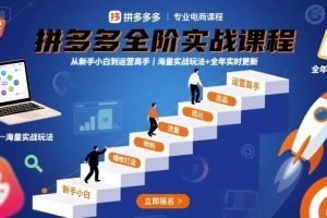 拼多多全阶实战课程，从新手小白到运营高手，海量实战玩法+全年实时更新【2025年9月更新】